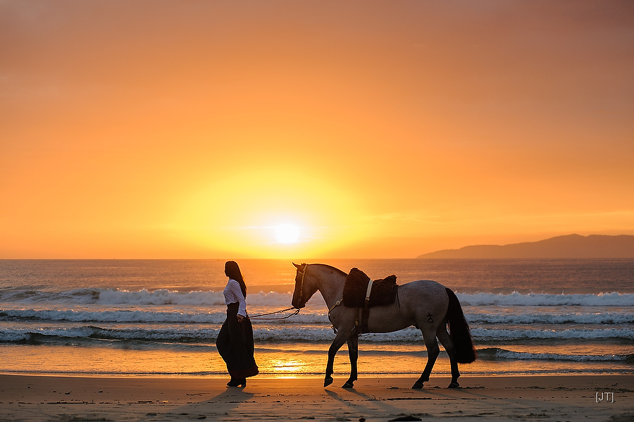 book 15 anos, ensaio com cavalo, quinze anos, ensaio fotográfico, julio trindade, fotos na praia com cavalo